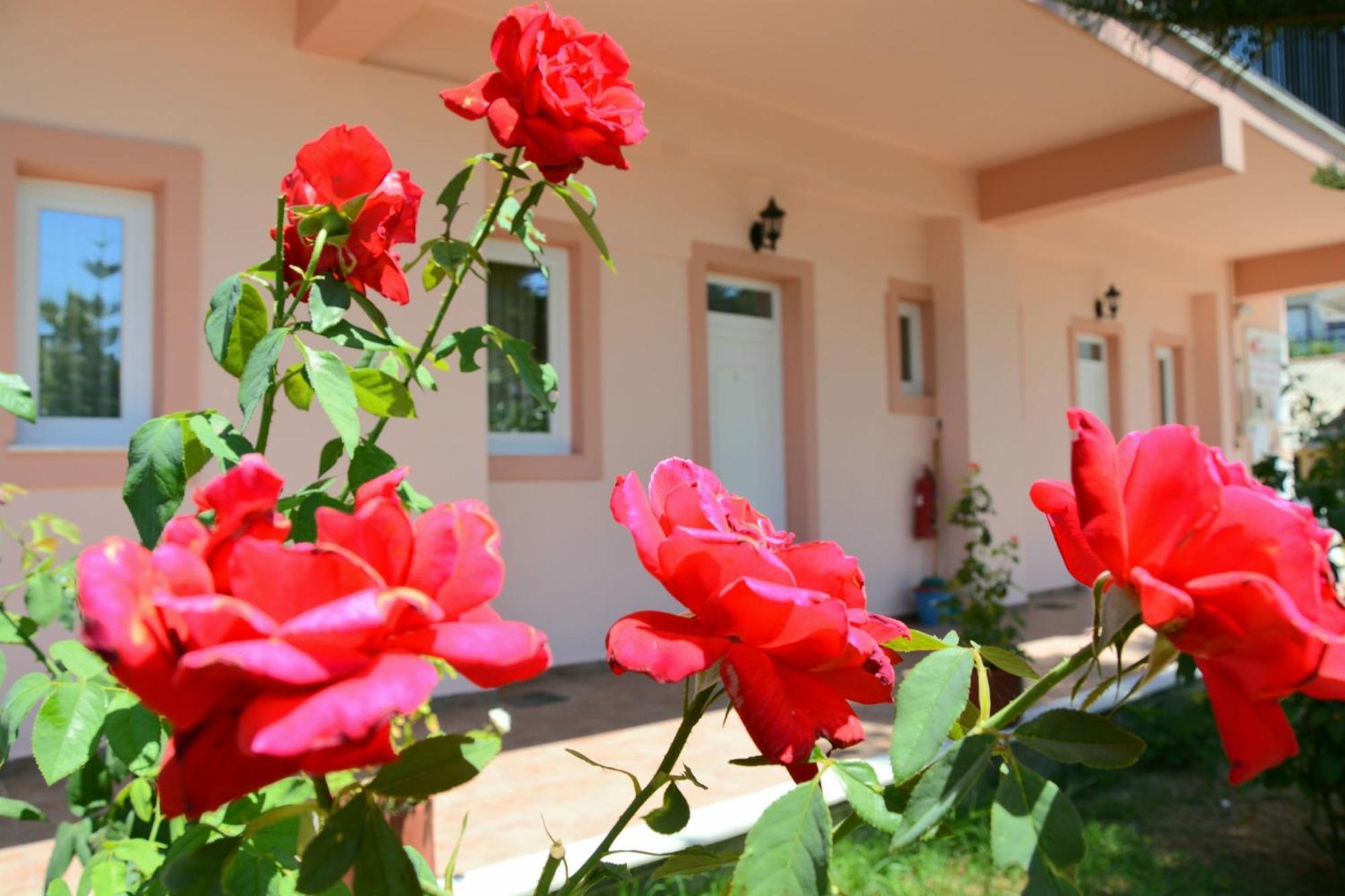Apartamento Red Rose Garden Tsilivi  Exterior foto