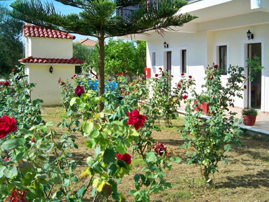 Apartamento Red Rose Garden Tsilivi  Exterior foto