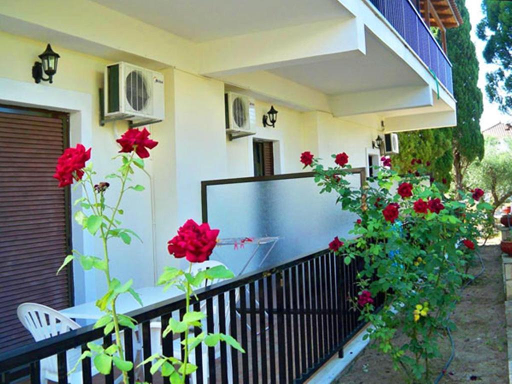 Apartamento Red Rose Garden Tsilivi  Exterior foto